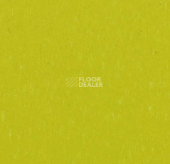 Линолеум Forbo Marmoleum Solid Piano 3646-364635 young grass фото 1 | FLOORDEALER